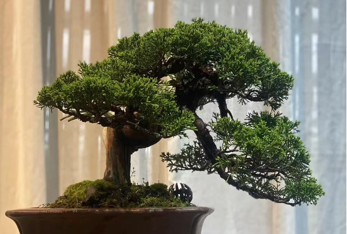 图片5.jpg